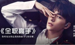 爆料李现王一博视频大全,精彩瞬间尽收眼底