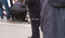 石家庄栾城最新爆料,揭秘石家庄栾城发展新篇章