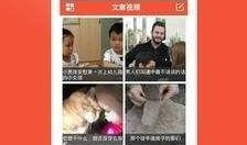 转发爆料视频完整版,转发爆料视频完整版深度解析