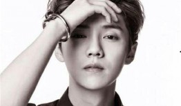 吃瓜娱乐鹿晗完整版,揭秘明星幕后生活